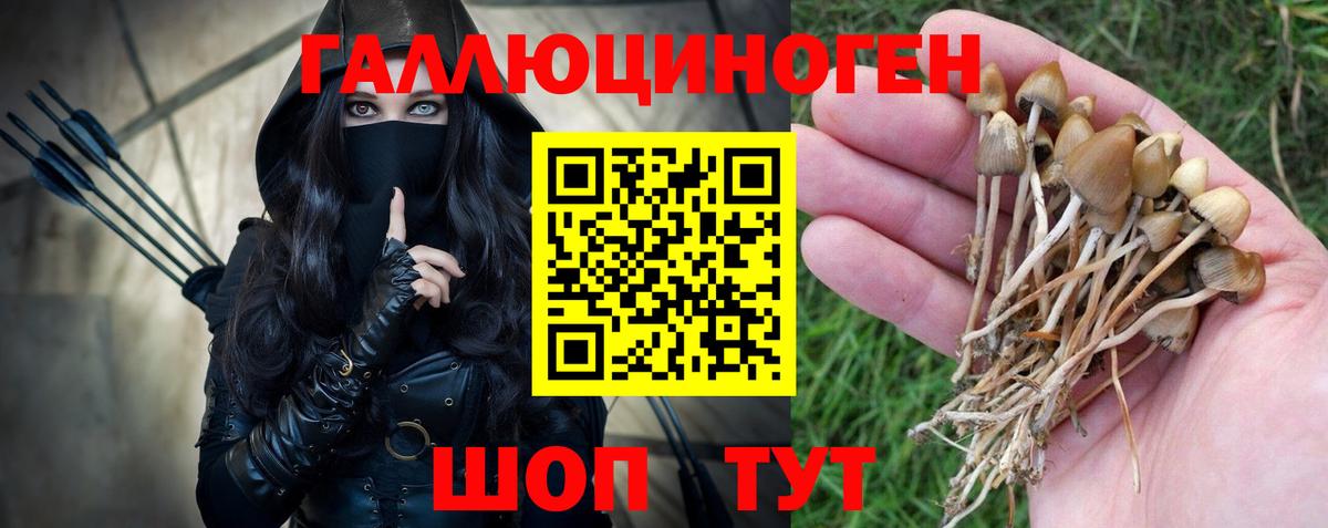 Белогорск  Галлюциногенные грибы GOLDEN TEACHER  как найти наркотики  Вход с VPN 